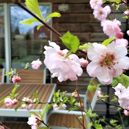 Fewos Am Kleinen * Waren (Mueritz)