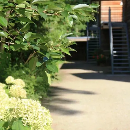 Lejlighed Fewos Am Kleinen *