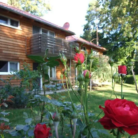 Fewos Am Kleinen Lejlighed *