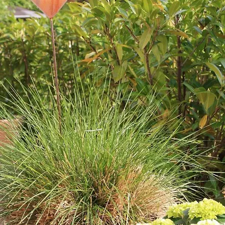 Lejlighed Fewos Am Kleinen